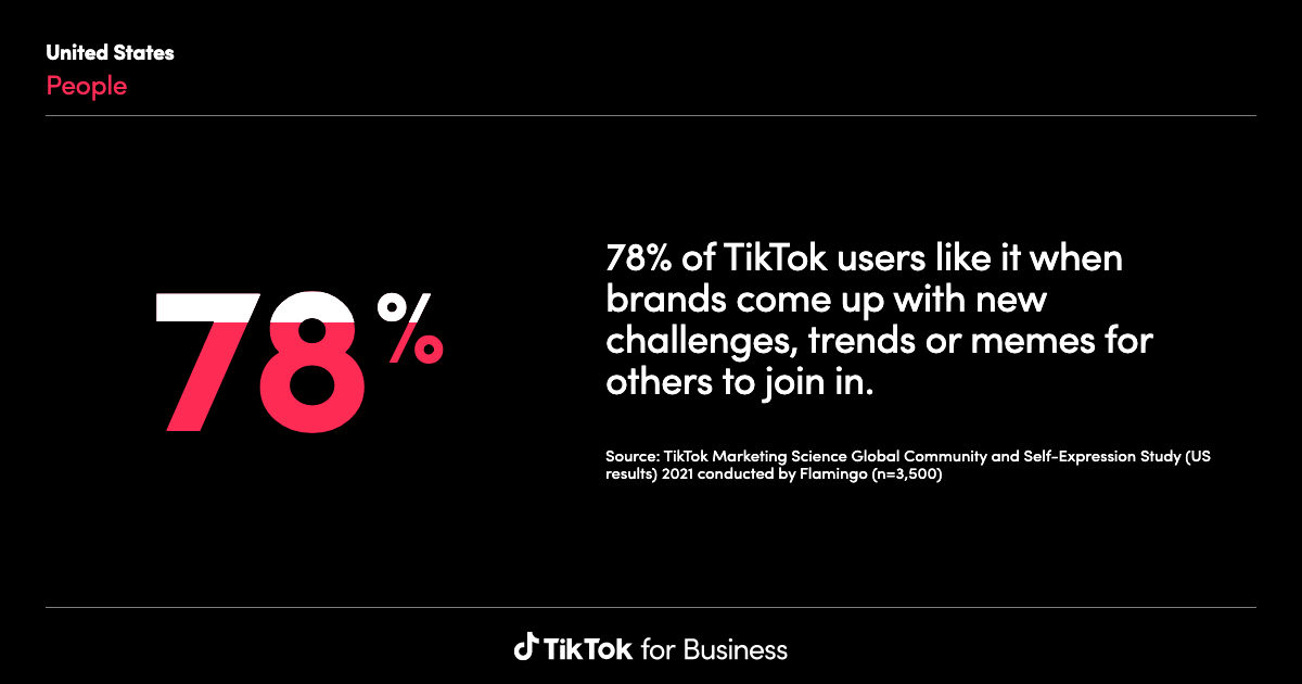 TikTok Audience Engagement Insights