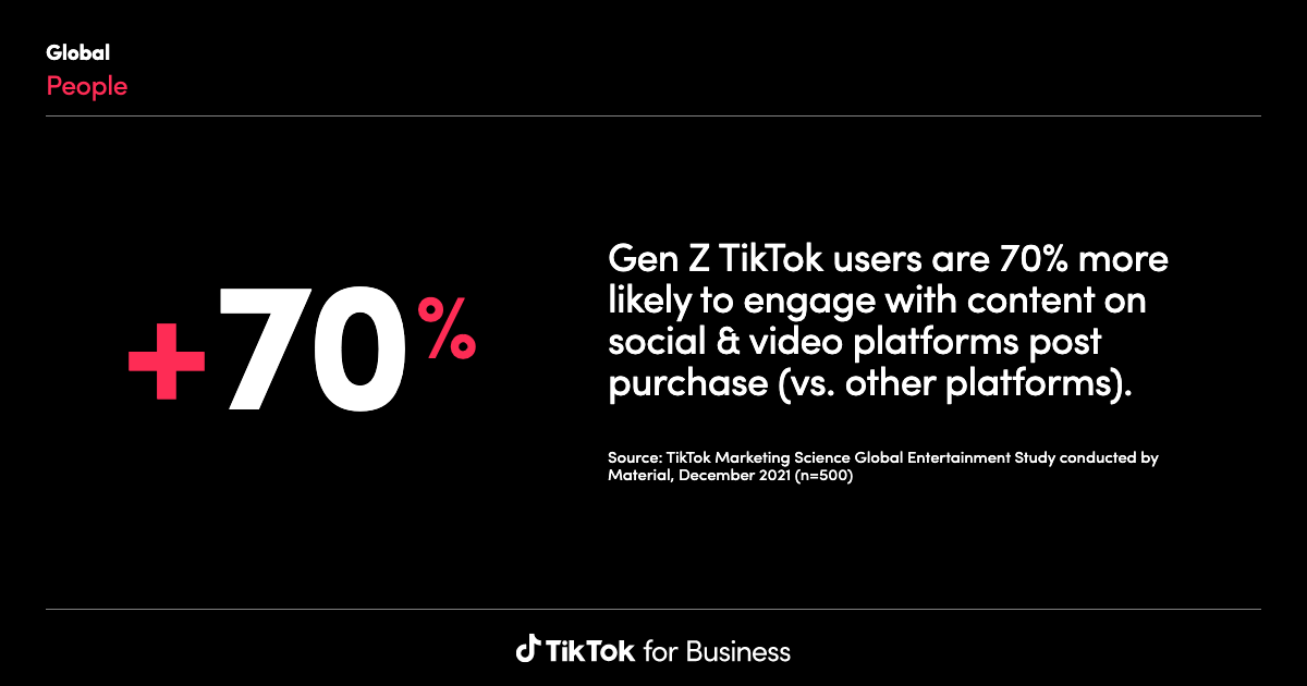 Demographic and Geographic Targeting on TikTok