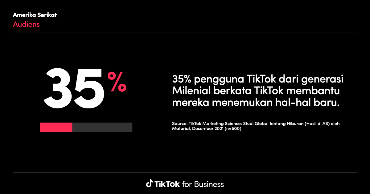 TikTok Audience Insights Dashboard