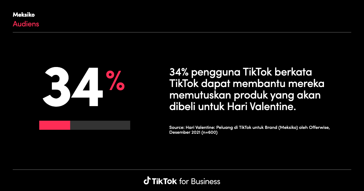 TikTok Audience and Algorithm Insights