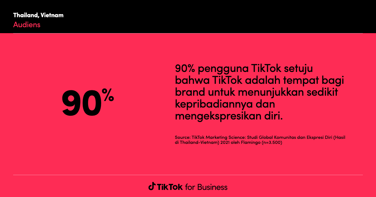 TikTok audience insights for ad targeting