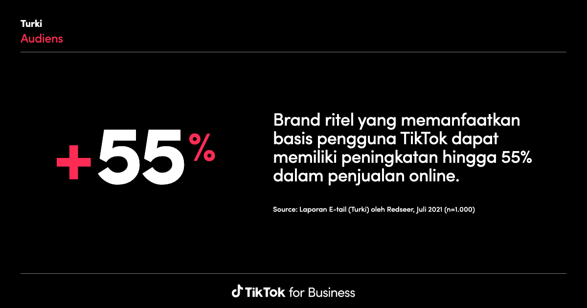 TikTok Audience Insights for Marketing Strategy